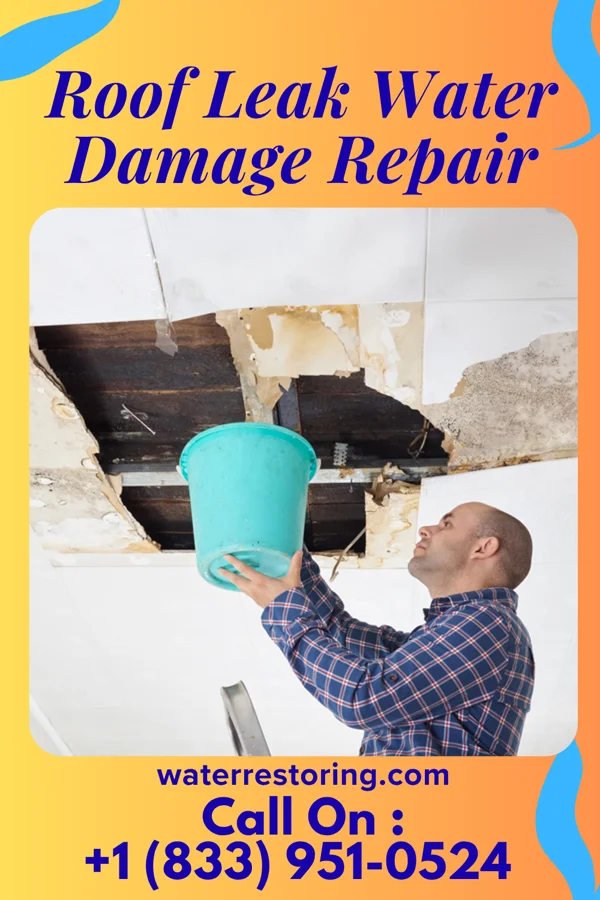 Roof Leak Water Damage Repair in Grangerland, TX