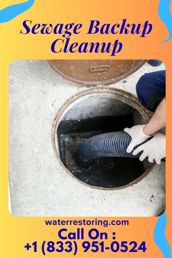 Sewage Backup Cleanup in Grangerland, TX